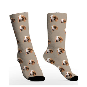 Customized Cute Pet Socks
